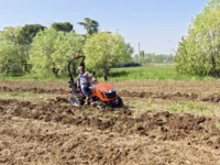 Tracteur agricole TAFE-6020