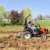 Tracteur agricole TAFE-6020